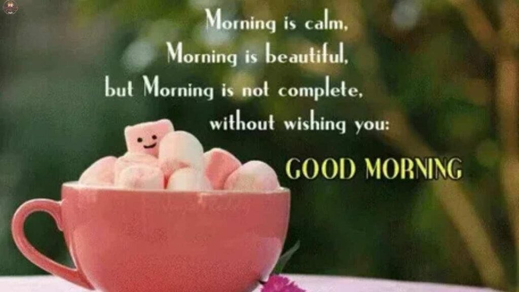 Heartfelt Good Morning Greetings to Show Gratitude